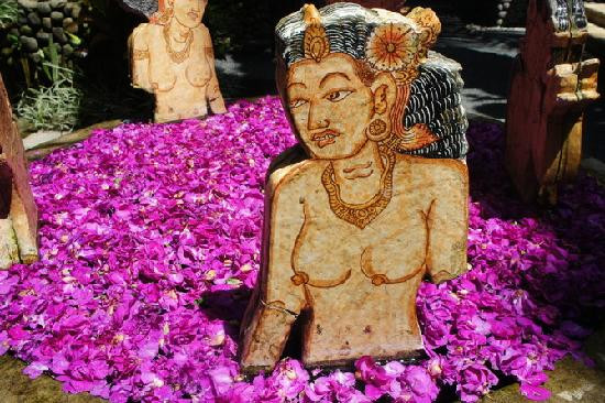 皇家皮塔玛哈酒店主图