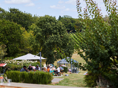 Holm Oak Vineyards-Rowella必去景点