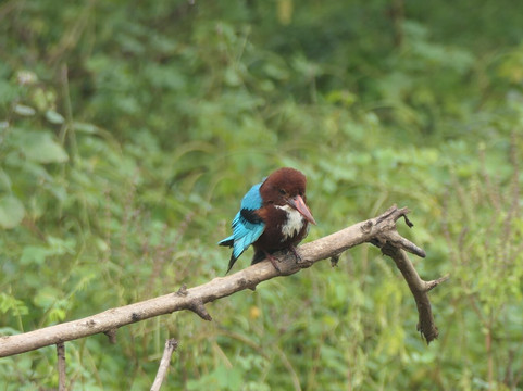 Ceylon Safari Tours-蒂瑟默哈拉默必去景点