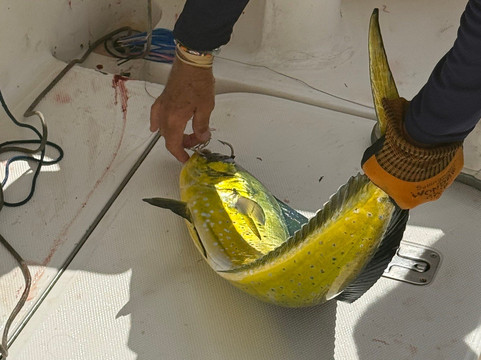 Speartime Luxury Charters-Christie必去景点