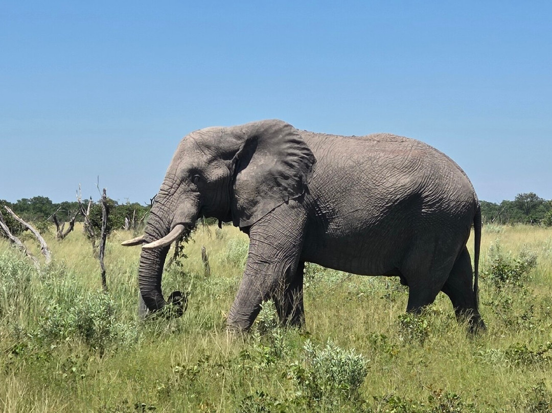 Mosu Safari Tours-马翁必去景点