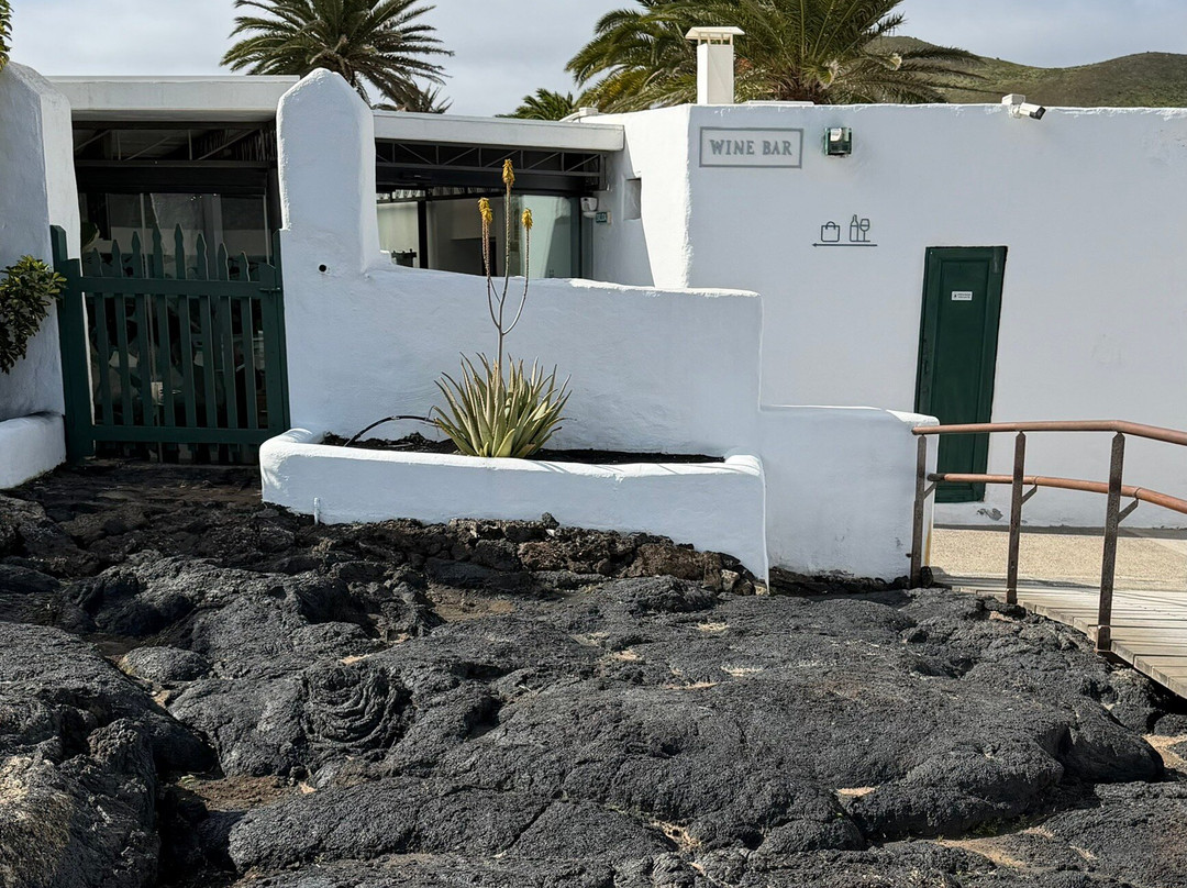 El Grifo - Museo del Vino-San Bartolome必去景点