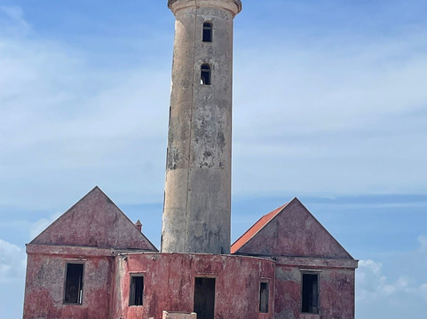 BlueFinn Charters-威廉斯塔德必去景点