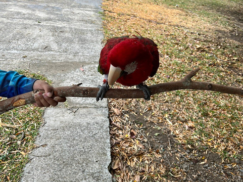 Jungla de Panama Wildlife Refuge-波魁特必去景点