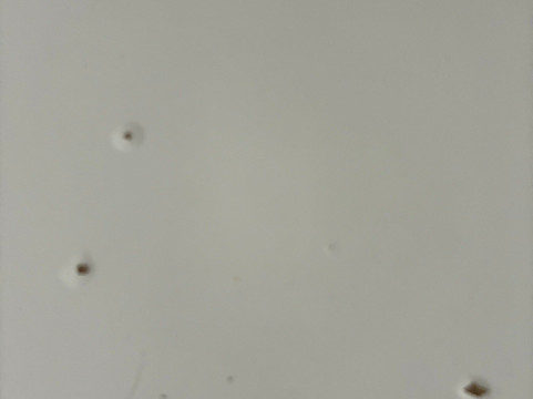 康德都住宿主图