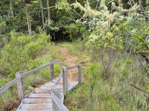 Cachoeira do Tio França-Cambará do Sul必去景点
