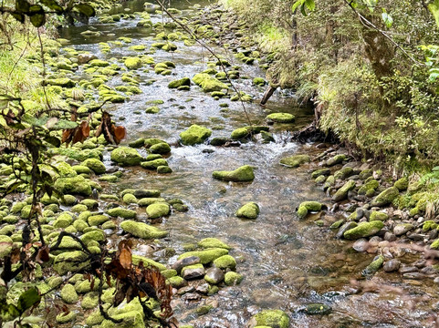 The Natural Flames Experience - Day Tours-Murchison必去景点