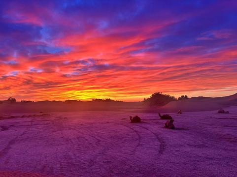 Wild Morocco-扎古拉必去景点