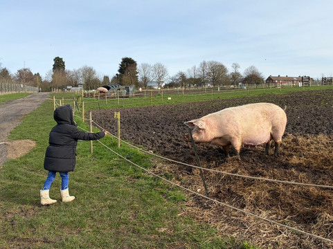 Church Farm Ardeley-斯蒂夫尼奇必去景点