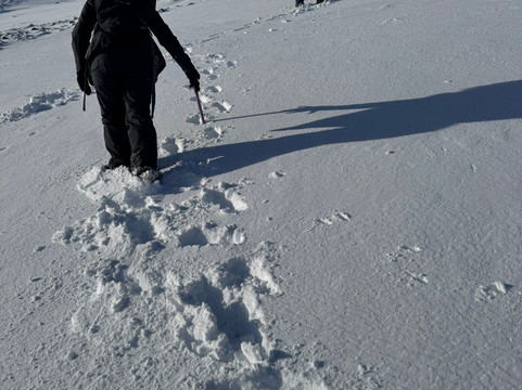 Climb Torridon - Friendly Guiding and Instruction in the North West Highlands-Strath必去景点