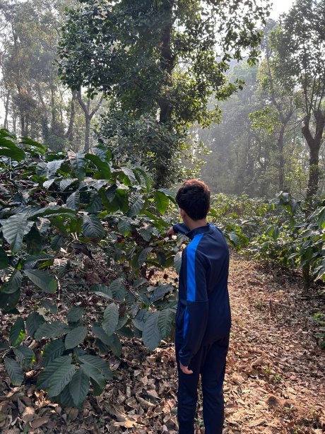 Coorg万豪度假村和水疗中心-官方