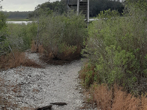 Fort Caroline National Memorial-杰克逊维尔必去景点
