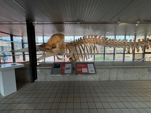 Museon-Omniversum-海牙必去景点