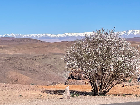 Jebel Trekking-马拉喀什必去景点