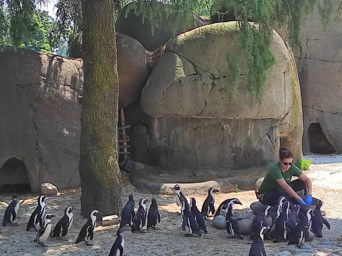 Zoom Torino-Cumiana必去景点