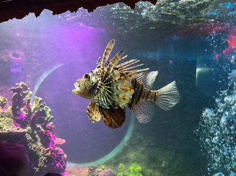 Sea Life Scarborough-斯卡伯勒必去景点