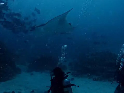 Jerrys Dive Club Rasdhoo-拉斯胡必去景点