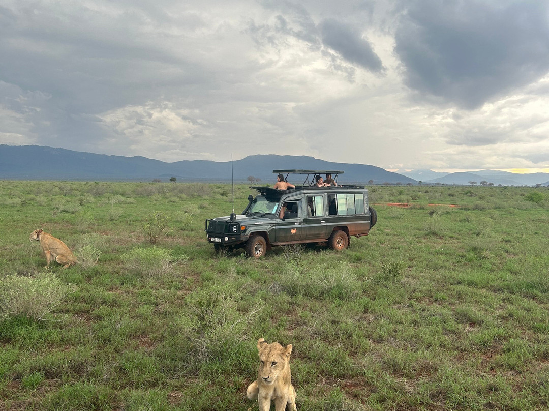 Gattokko - Safari e Tours in Kenya-瓦塔木必去景点
