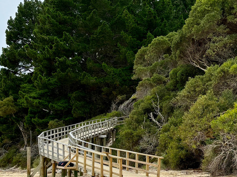 Abel Tasman Sea Shuttle Ltd-莫图伊卡必去景点