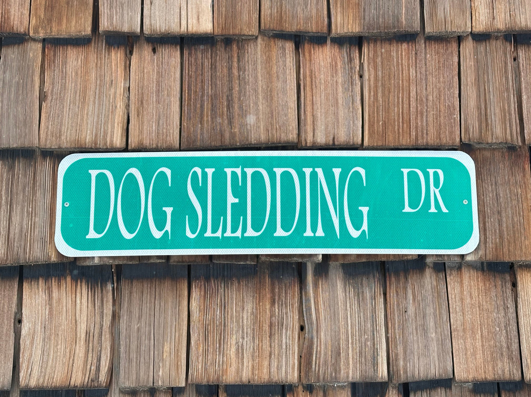 Snow Buddy Sled Dog Adventures-斯廷博特斯普林斯必去景点
