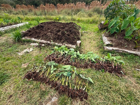 Hawaiian Culture Center