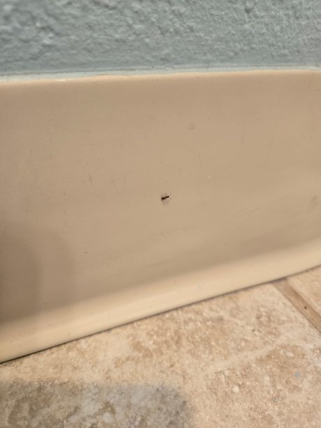 英巴卡迪诺度假村-官方