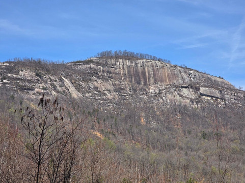 Table Rock Tea Company, Ltd.-Pickens必去景点