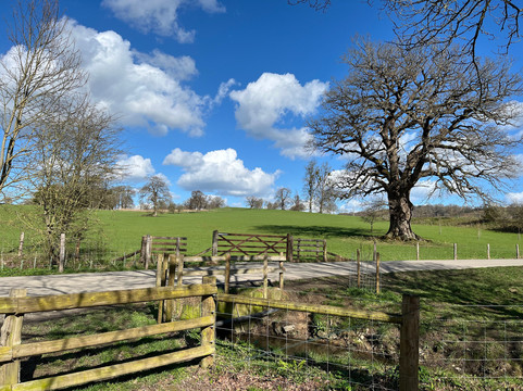 Eastnor Pottery & The Flying Potter-Ledbury必去景点
