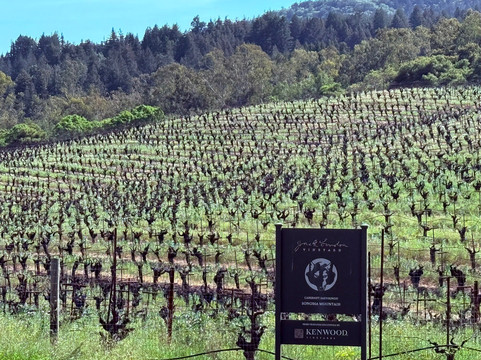 Kenwood Vineyards-Kenwood必去景点