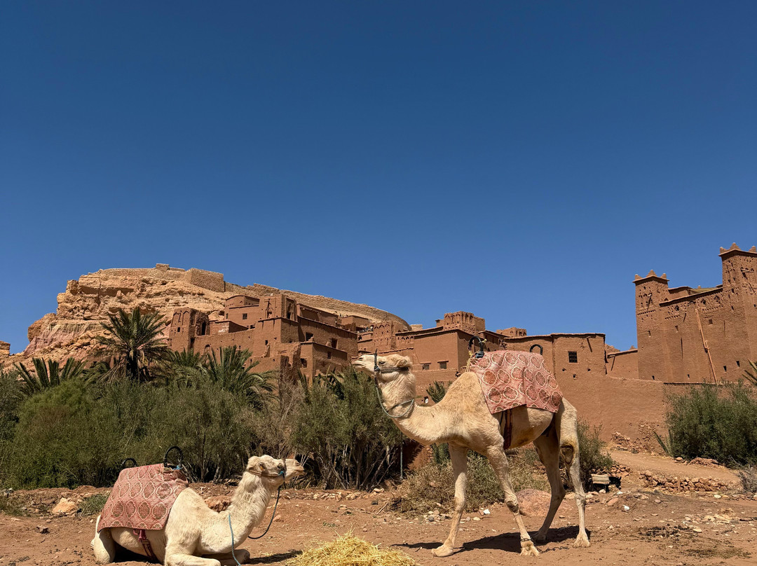 Travel Link Morocco-舍夫沙万必去景点