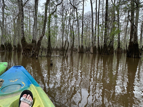 Honey Island Kayak Tours-Pearl River必去景点