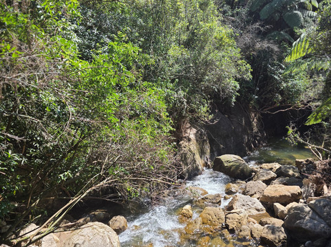 Real  Native  -  Walking Retreat-Te Awamutu必去景点