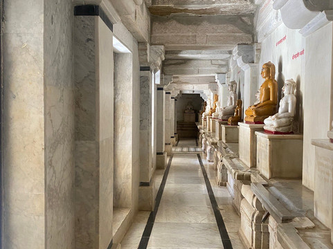 Trulyy the Jawai Leopard Kingdom A Luxury Resort主图