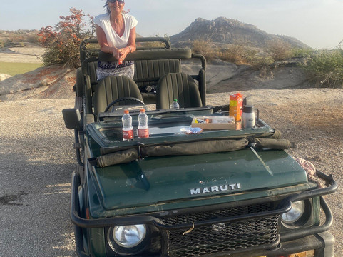 Trulyy the Jawai Leopard Kingdom A Luxury Resort主图