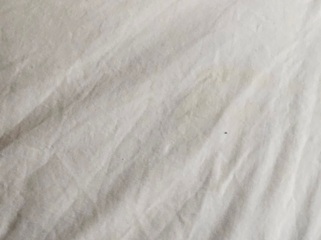 皮姆利科赛马场附近凯艺酒店主图