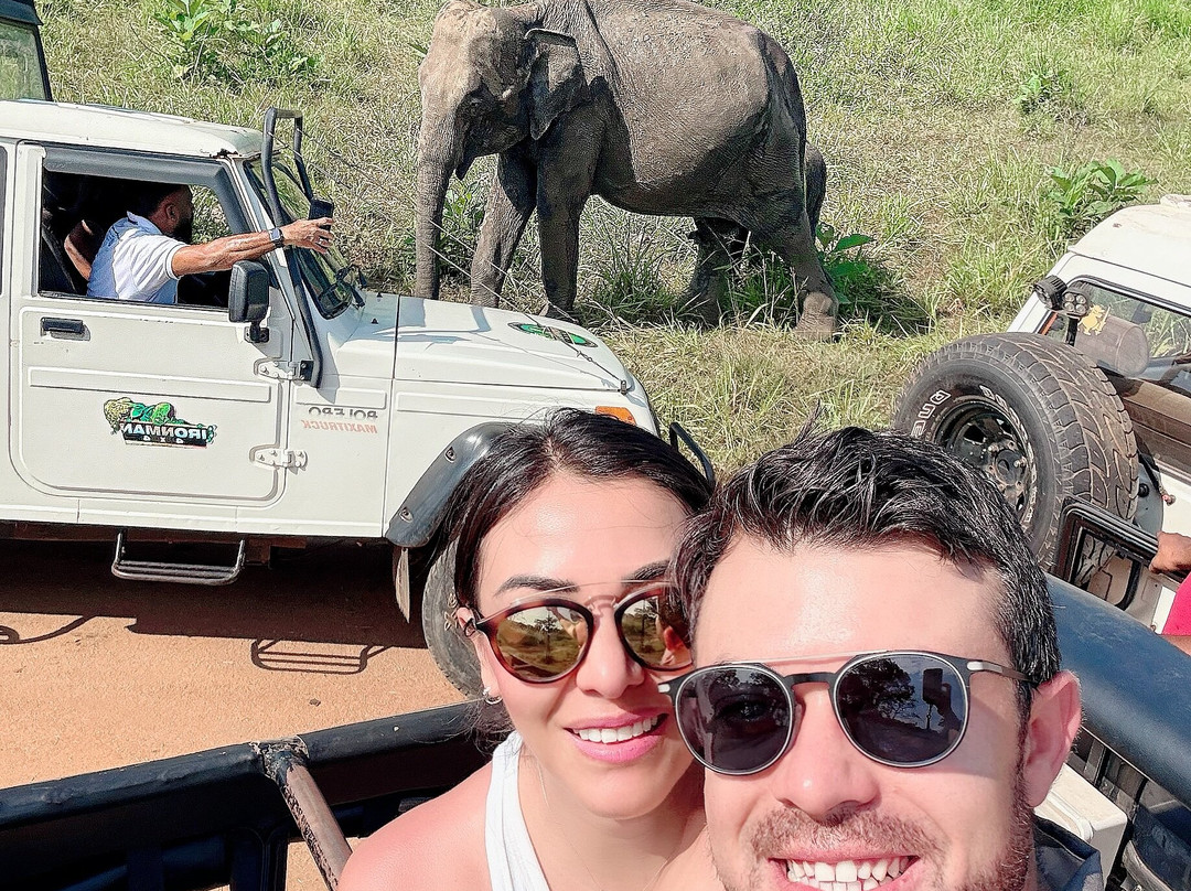 Private Tour Guide in Sri Lanka-科伦坡必去景点