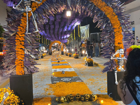 Mani Gonzalez Adventures-Crucecita必去景点