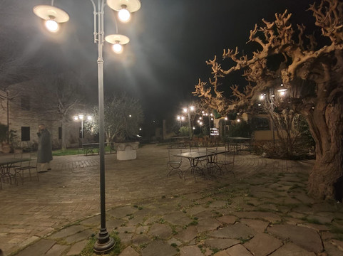 阿尔伯格勒卡斯酒店主图