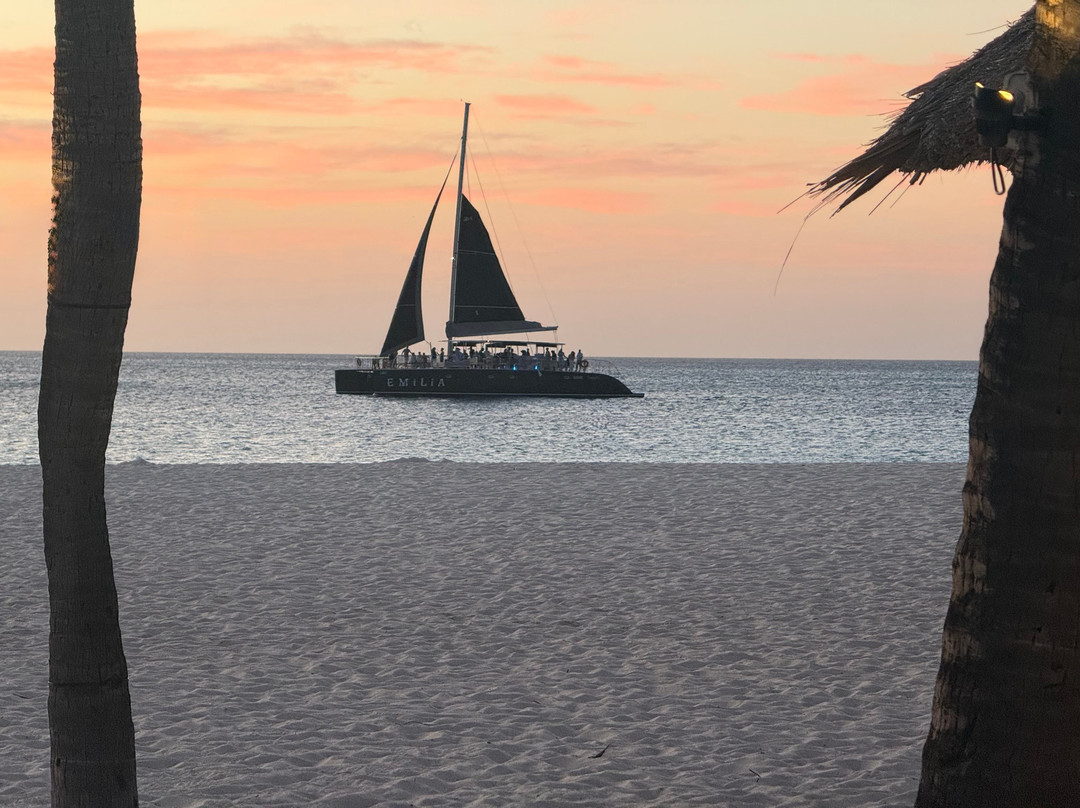 One love Aruba Tours-奥腊涅斯塔德必去景点