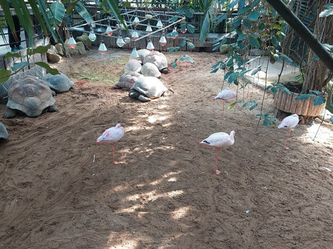 Parco Faunistico Le Cornelle-Valbrembo必去景点