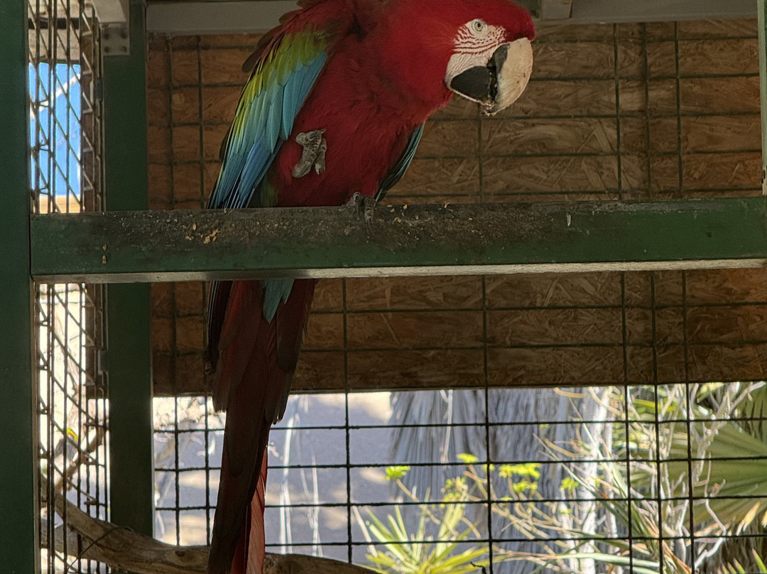 Viveiro, Botanical Garden & Zoo di Terra-圣塔玛丽亚必去景点