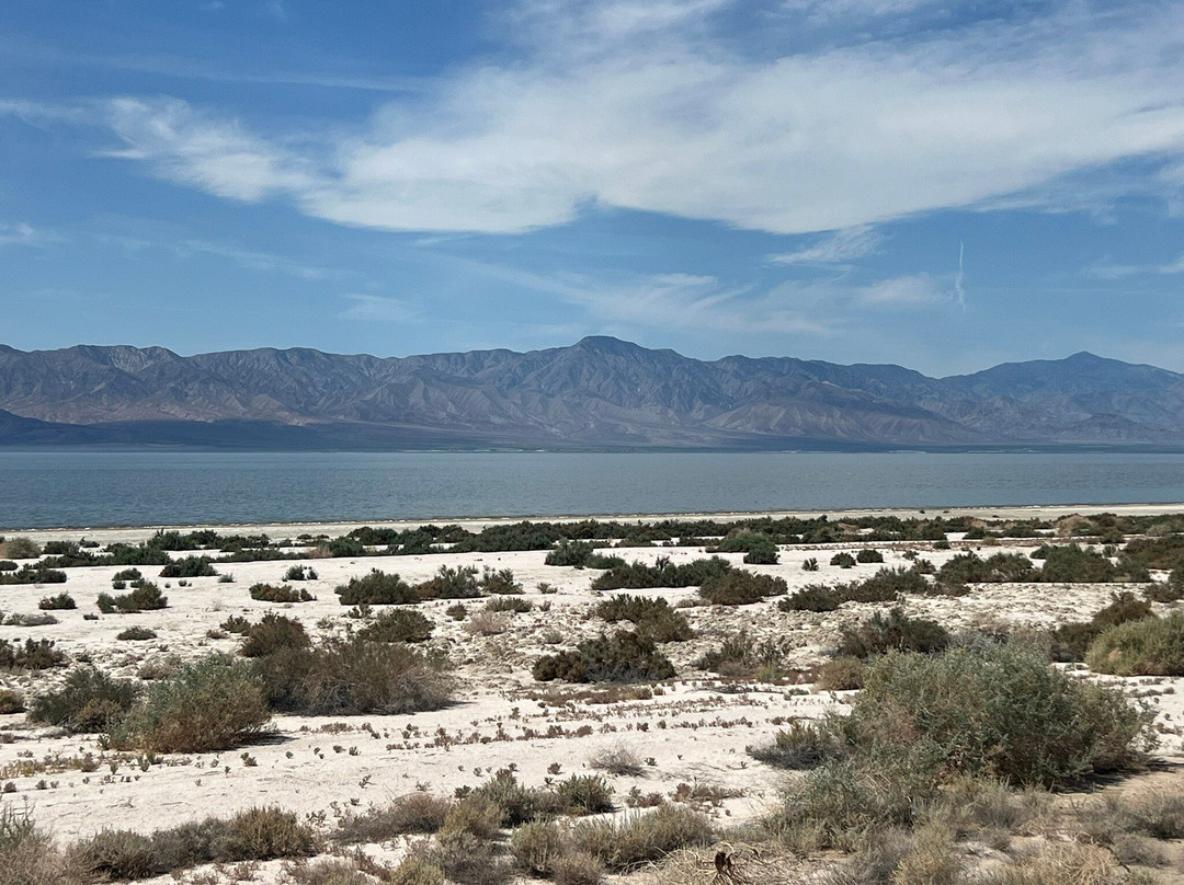 Salton Sea-Salton City必去景点