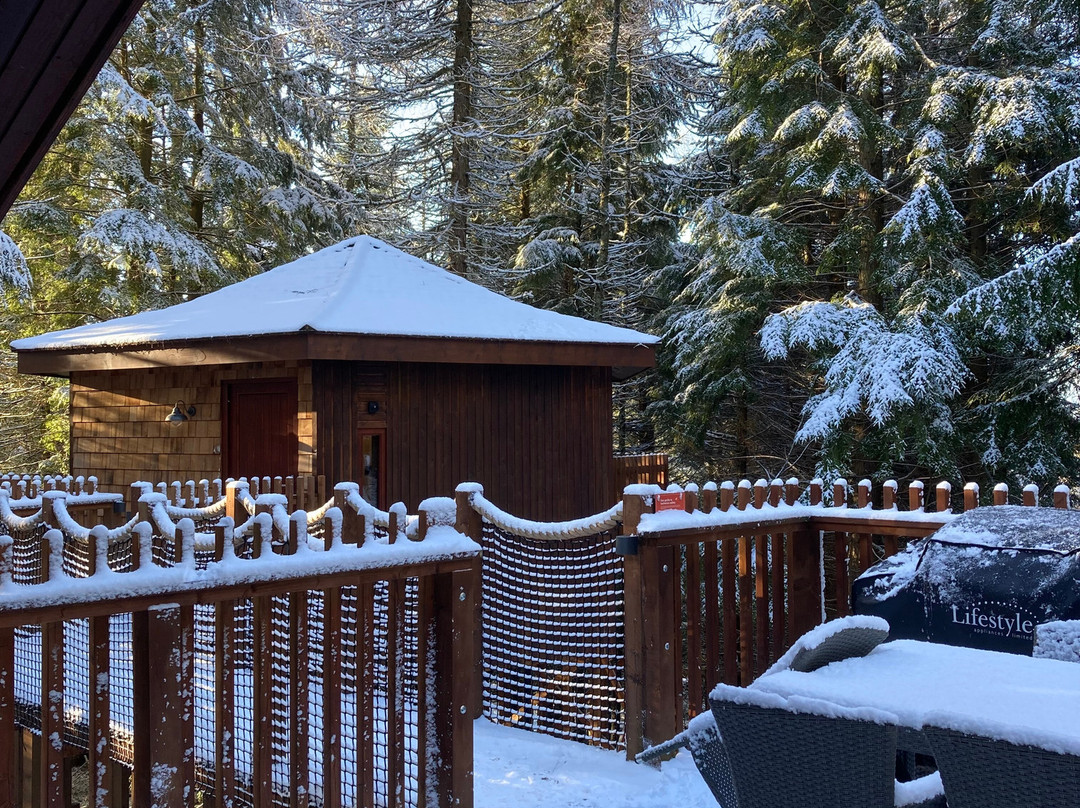 Glentress Forest-皮布尔斯必去景点