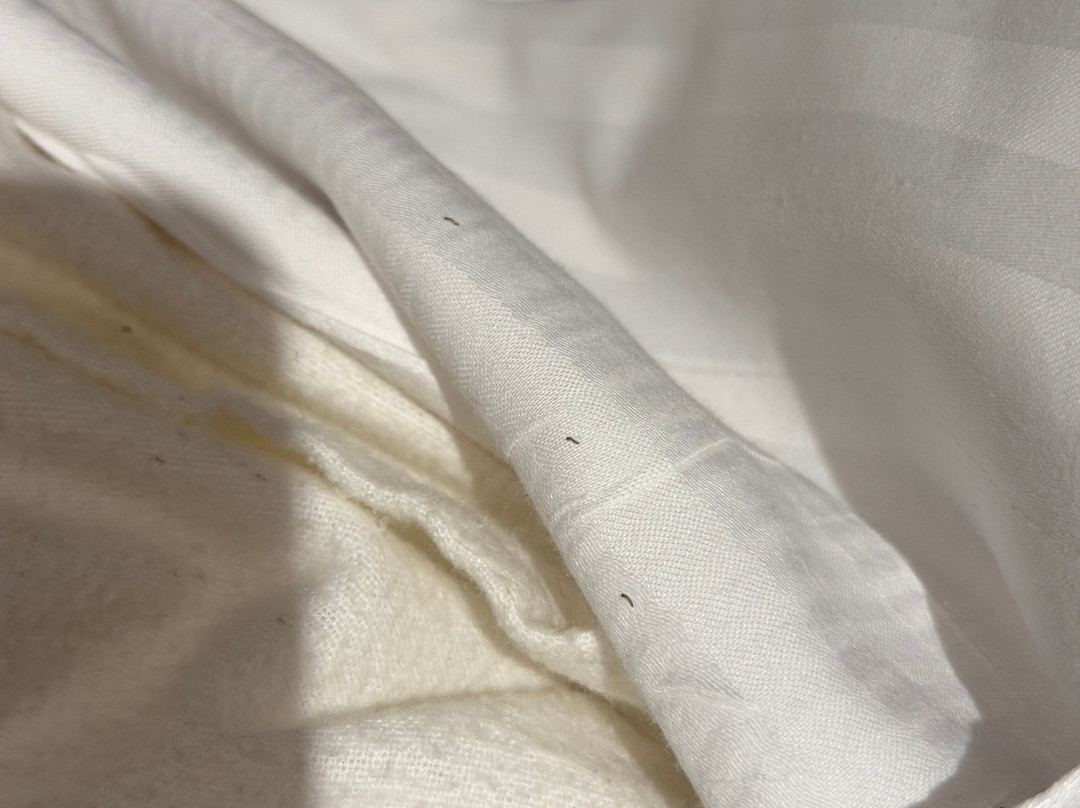 圣皮耶尔酒店主图