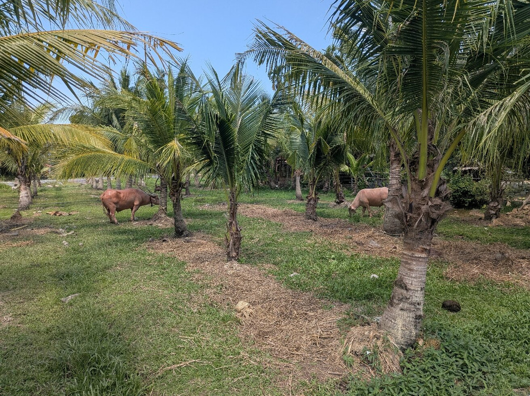 Old Phuket Farm-Thep Krasattri必去景点