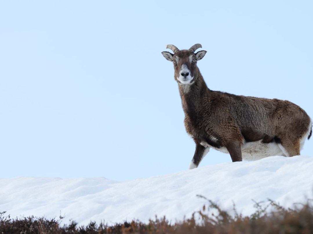 Hadrien Brasseur-Arrens-Marsous必去景点