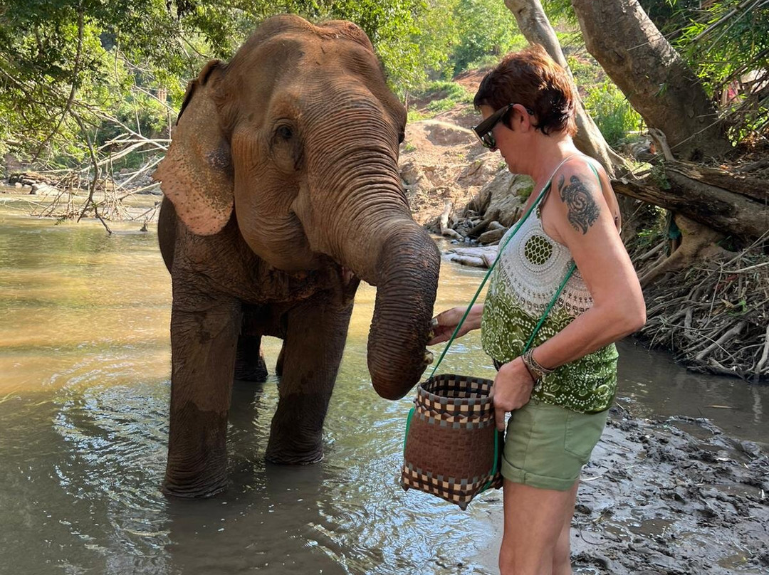 Elephant Sanctuary Care Park-清迈必去景点