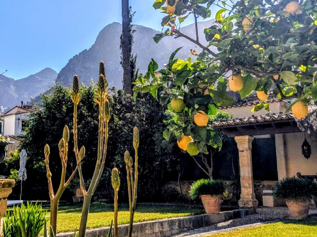 萨尔威亚酒店主图