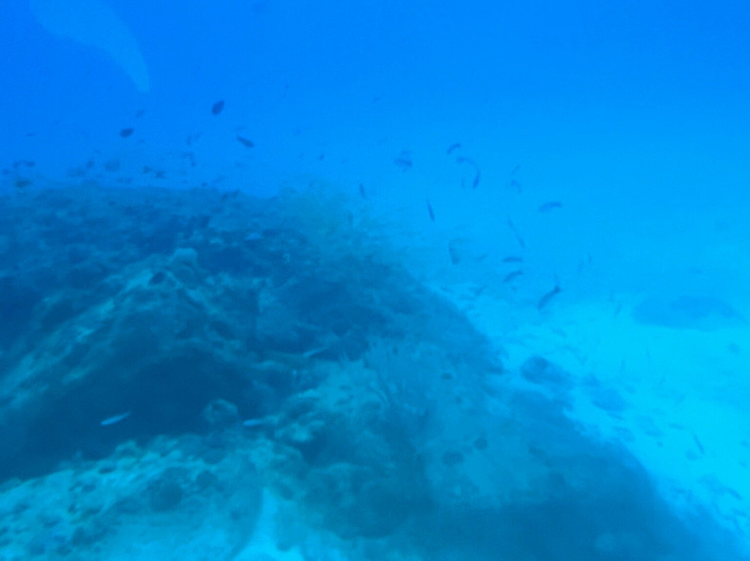 Blue Safari-卓欧毕雪必去景点