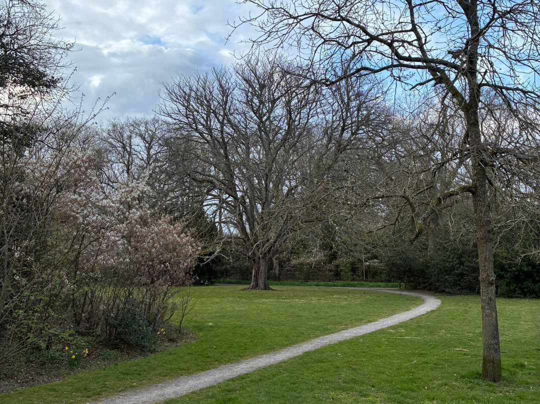 Wethouder Laanpark